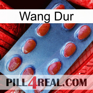 Hard Wang 06